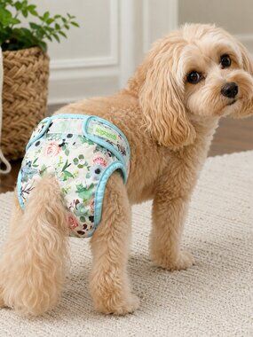 Wegreeco Female Dog Diaper Medium Floral Washable Reusable Pet Diaper Adjustable
